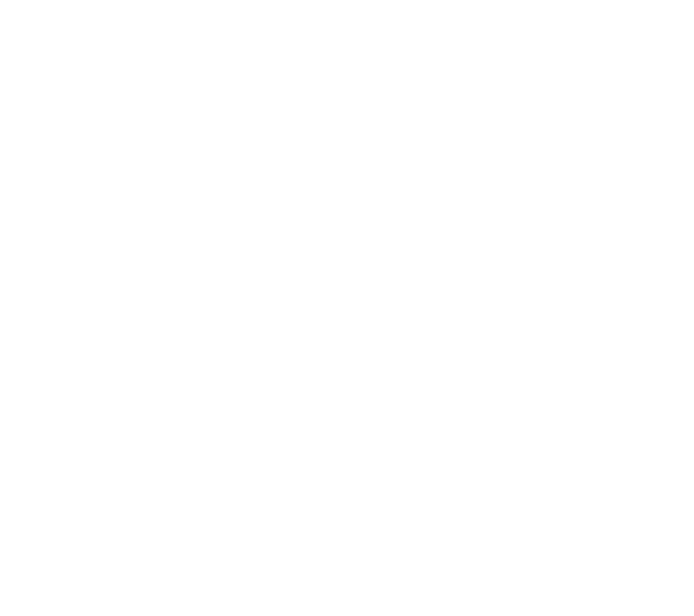 đầu tư bài bản