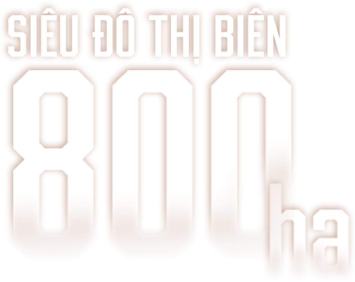 sieu-do-thi-bien-800ha